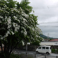 2308-2.jpg