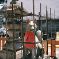 2311-1.jpg