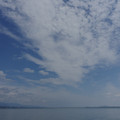 2312-1.jpg