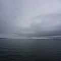 2314-1.jpg