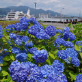 2315-2.jpg