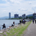 2316-2.jpg