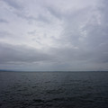 2353-3.jpg