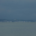 2358-2.jpg