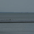 2358-3.jpg
