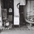 2362-3.jpg