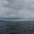 2364-1.jpg