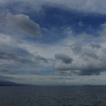 2364-3.jpg