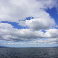 2365-2.jpg