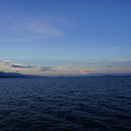 2365-3.jpg