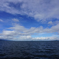 2366-1.jpg