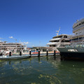 2367-2.jpg