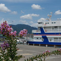 2371-1.jpg