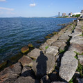 2372-1.jpg