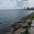 2373-1.jpg