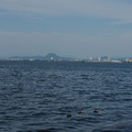 2374-2.jpg