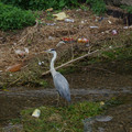 2374-3.jpg