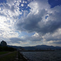 2377-1.jpg