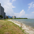 2379-1.jpg