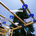 2380-3.jpg