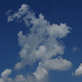 2384-1.jpg