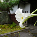 2390-3.jpg