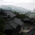 2392-1.jpg