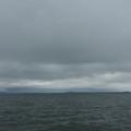 2393-1.jpg