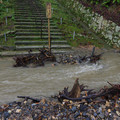 2393-3.jpg