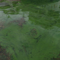 2401-2.jpg