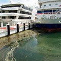 2403-2.jpg