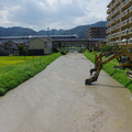 2409-1.jpg