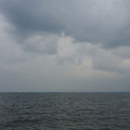2411-3.jpg