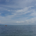 2417-1.jpg