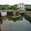 2418-1.jpg