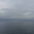 2421-1.jpg