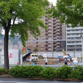 2424-1.jpg
