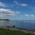 2429-3.jpg