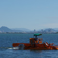 2431-2.jpg