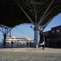 2442-1.jpg