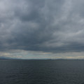 2446-1.jpg