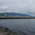 2447-1.jpg