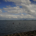 2450-1.jpg