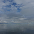 2452-1.jpg