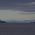 2458-2.jpg