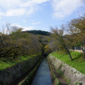 2459-1.jpg