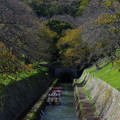2462-2.jpg