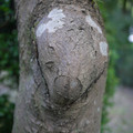 2465-1.jpg