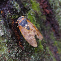 2465-3.jpg