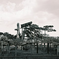 2468-2.jpg